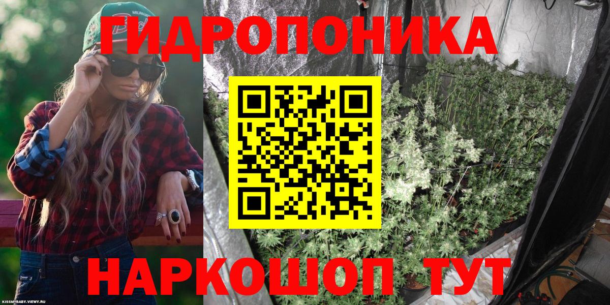 Канабис семена  Вход с VPN  Псков  Бошки Шишки индика  Шишки марихуана сатива 